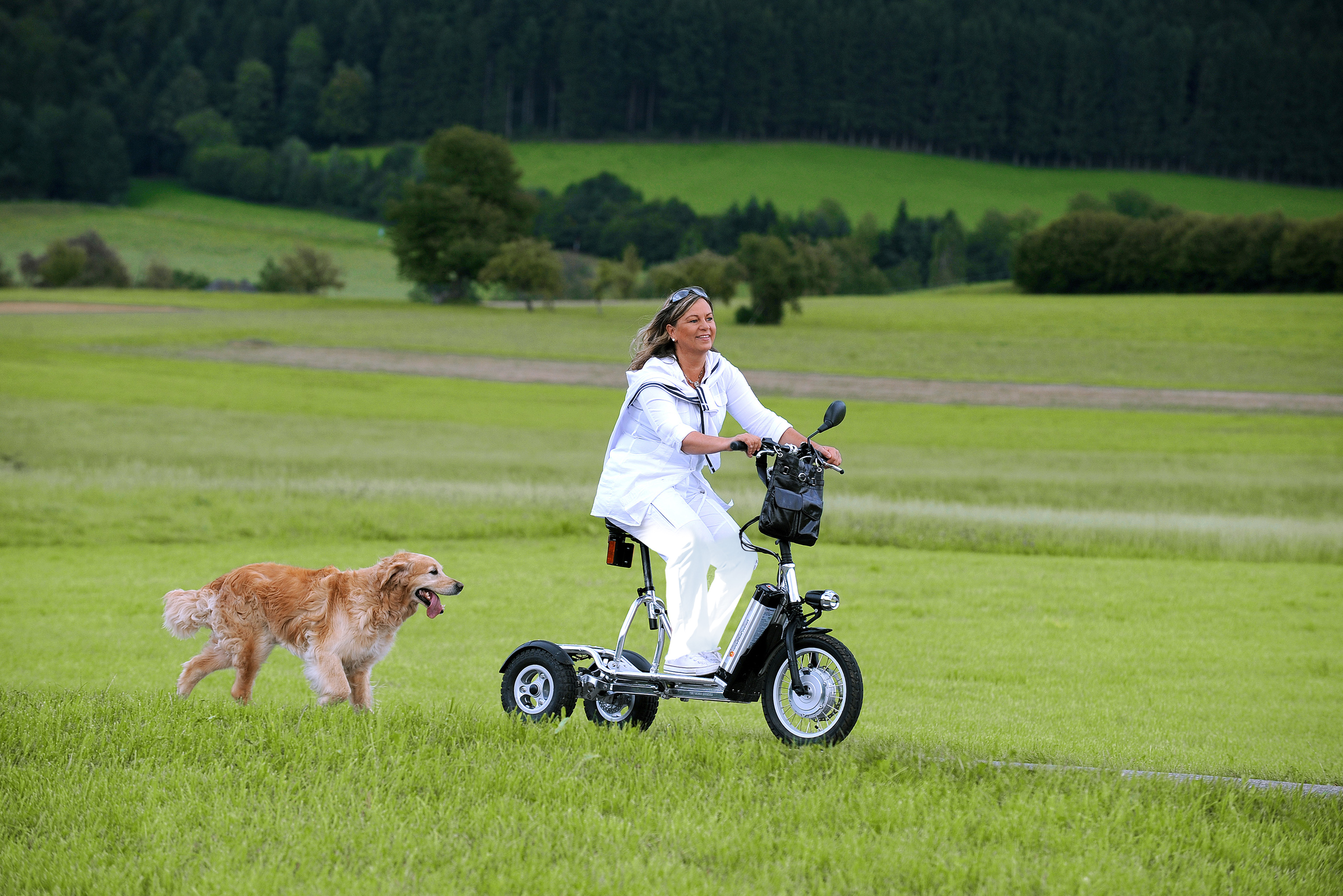 Dreirad Elektro Scooter